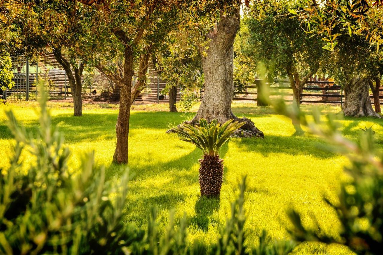 Tenuta Corano Nardo Ngoại thất bức ảnh